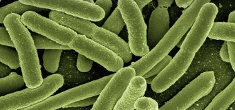 Antibiotico-resistenze, Italia maglia nera in Europa