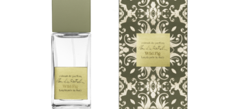 CLAUDIA SCATTOLINI FRAGRANCE DESIGNER