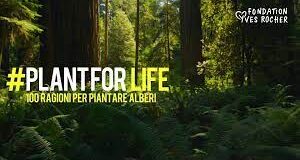 PROGETTO PLANT FOR LIFE PROMOSSO DA YVES ROCHER IT