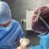 Implantologia dentale: tecnologie e procedure per il recupero funzionale ed estetico